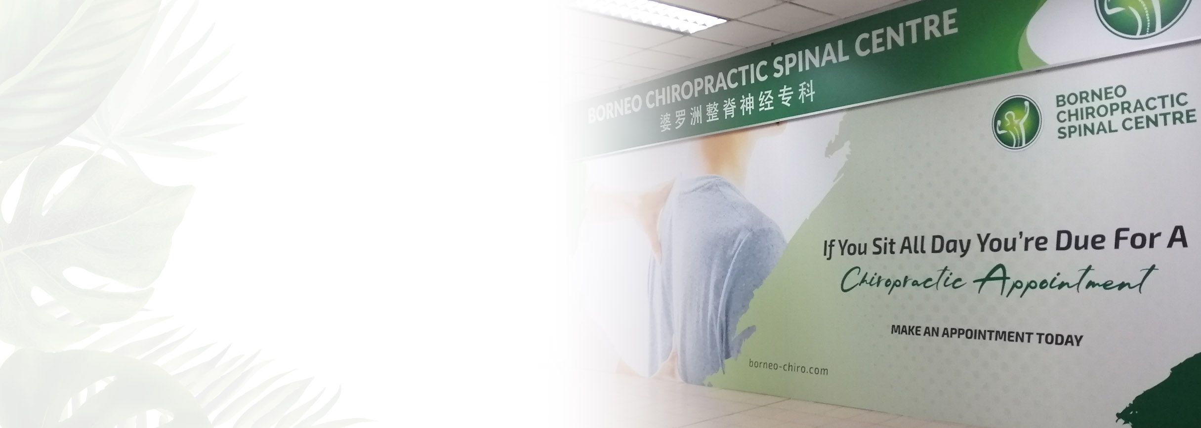 Chiropractic Services <span>That You Can Trust</span>